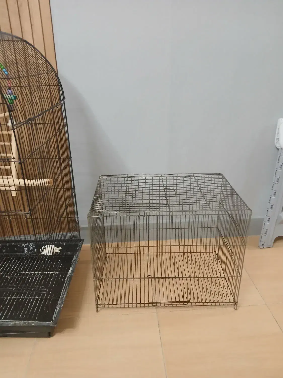 قفس پرنده بزرگ و کوچک|لوازم جانبی حیوانات|رشت, علی آباد|دیوار