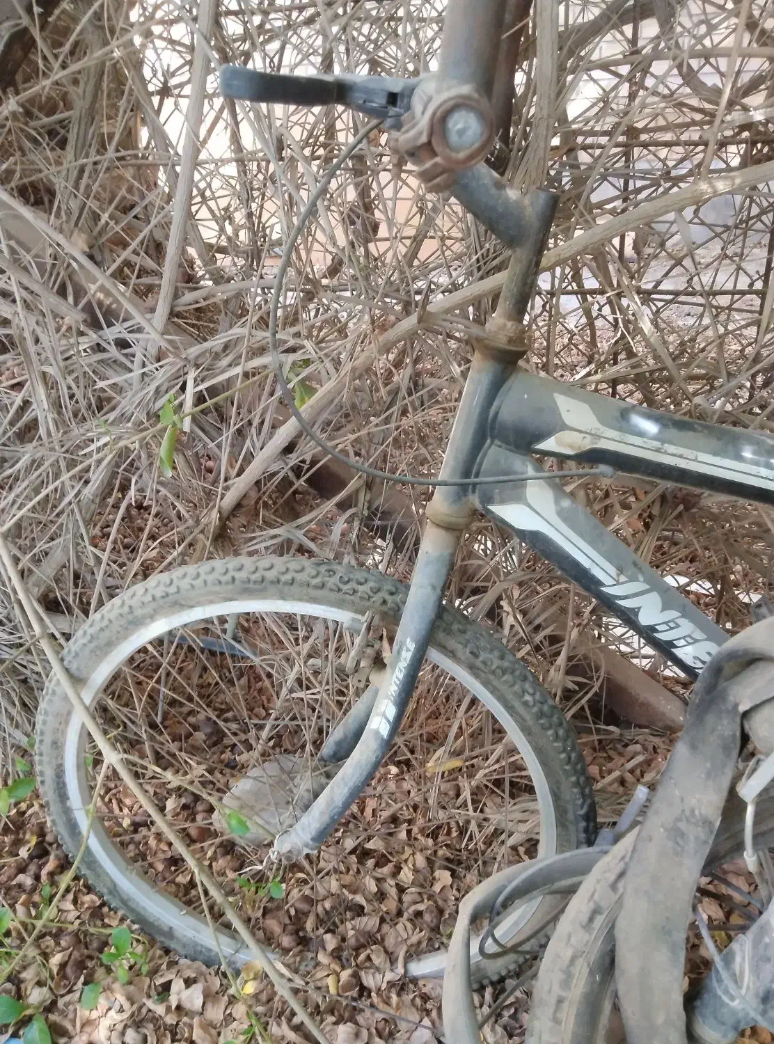 دوچرخه 24|دوچرخه، اسکیت، اسکوتر|بندر ماهشهر, |دیوار