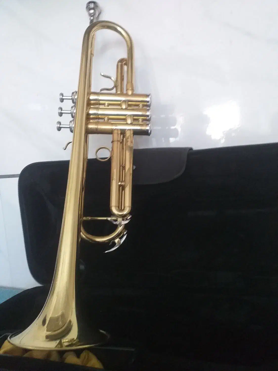 ترومپت|سازهای بادی|همدان, |دیوار