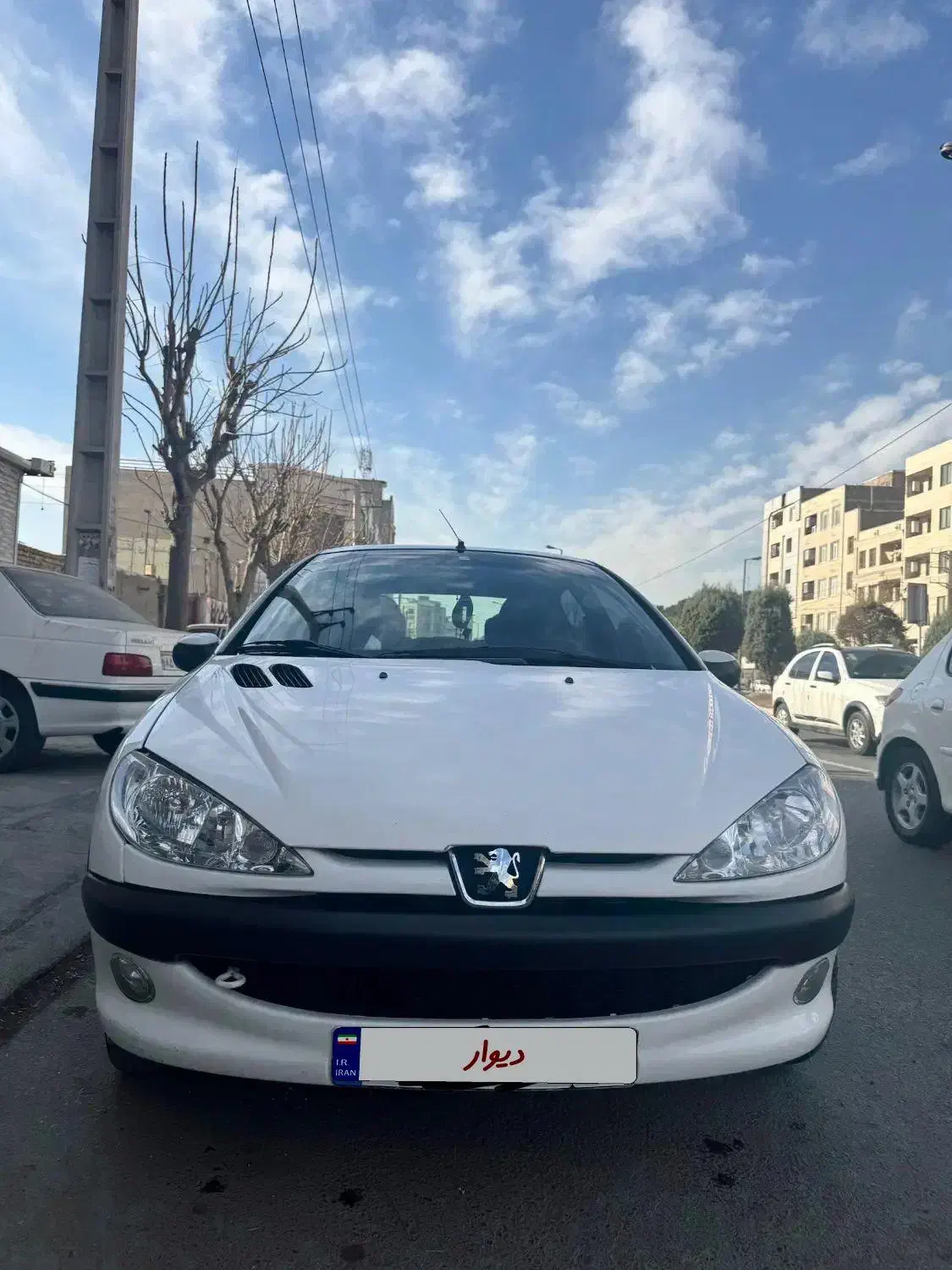 206 v8 مدل ۹۶|خودرو سواری و وانت|پاکدشت, پاکدشت (مامازند)|دیوار