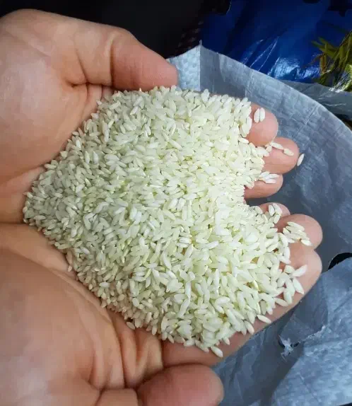 برنج عنبر بو|خوردنی و آشامیدنی|شباب, |دیوار