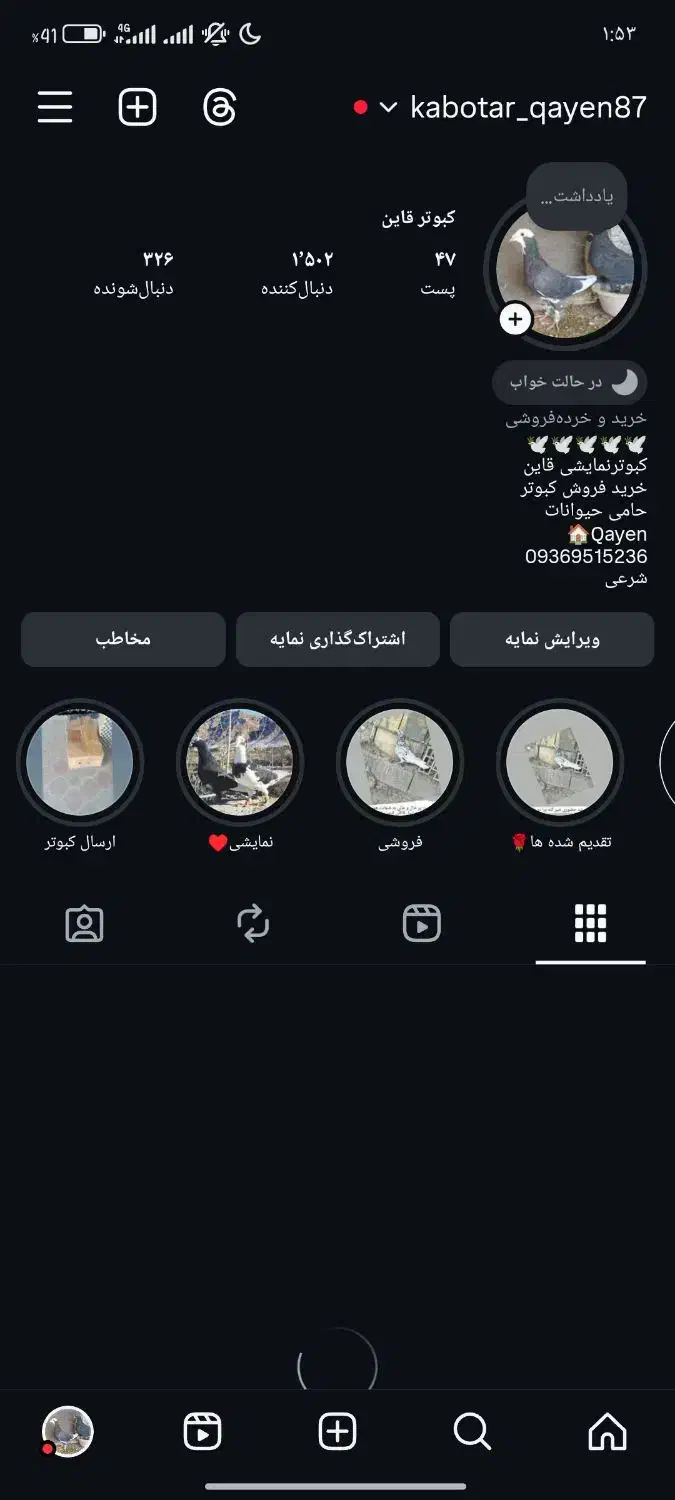 نر کرمونی(قاین)|پرنده|بیرجند, |دیوار
