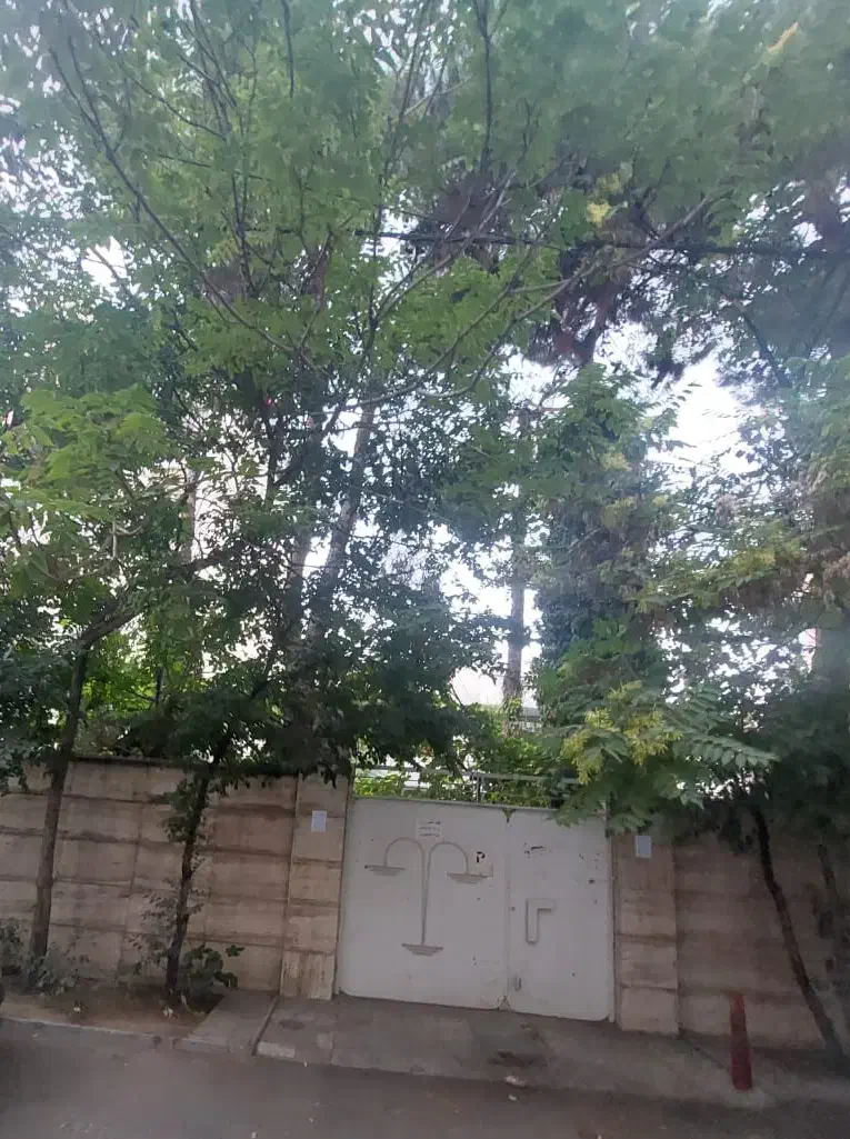 فروش کلنگی 1000 متر زعفرانیه|فروش زمین و ملک کلنگی|تهران, زعفرانیه|دیوار