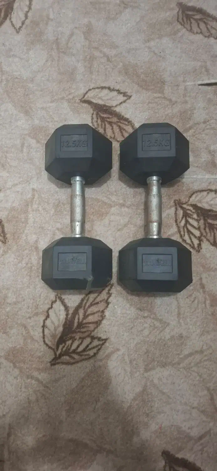 دمبل 12/5|تجهیزات ورزشی|بندر ماهشهر, |دیوار