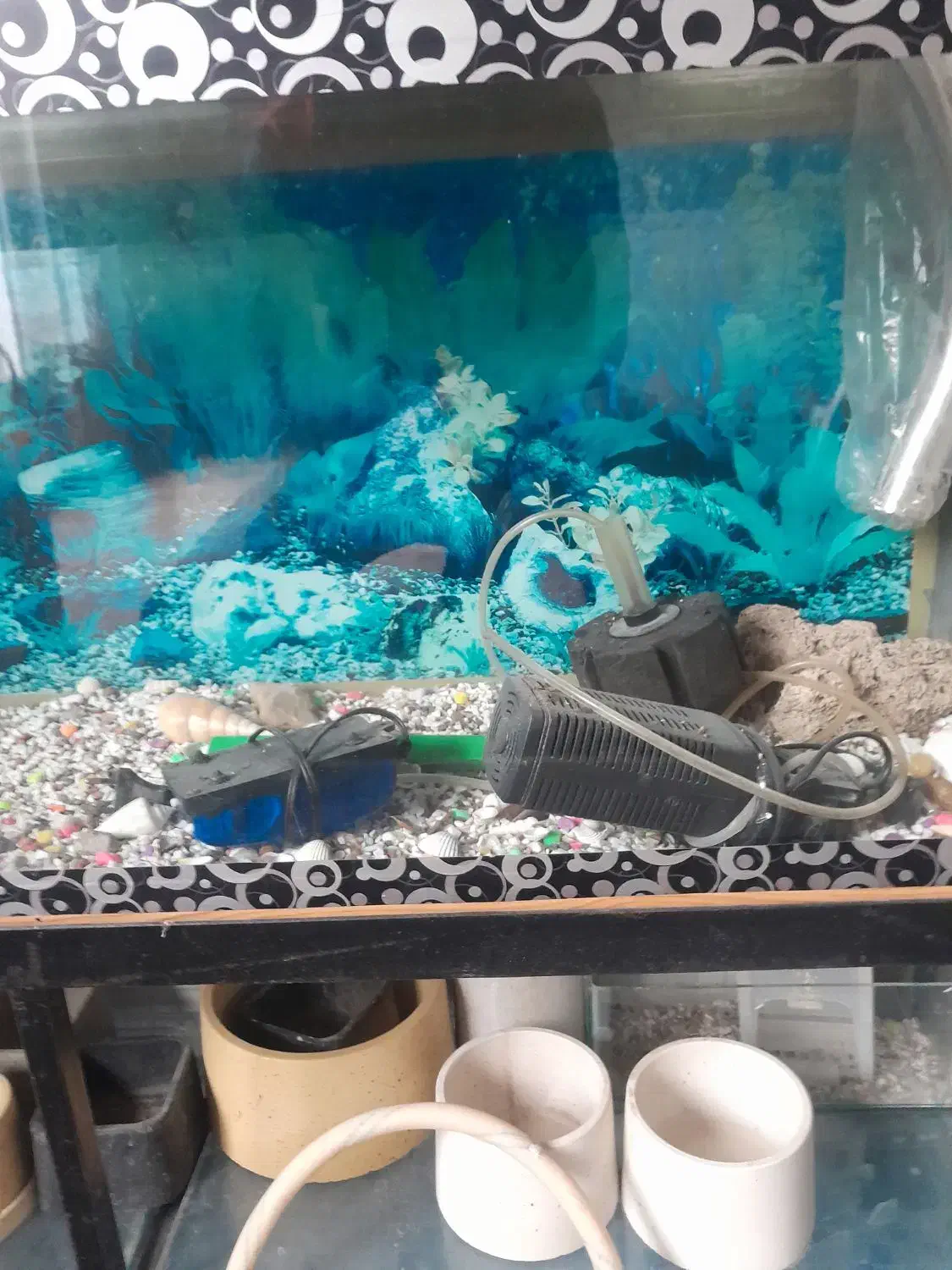 آکفاریون ماهی|ماهی|قزوین, |دیوار