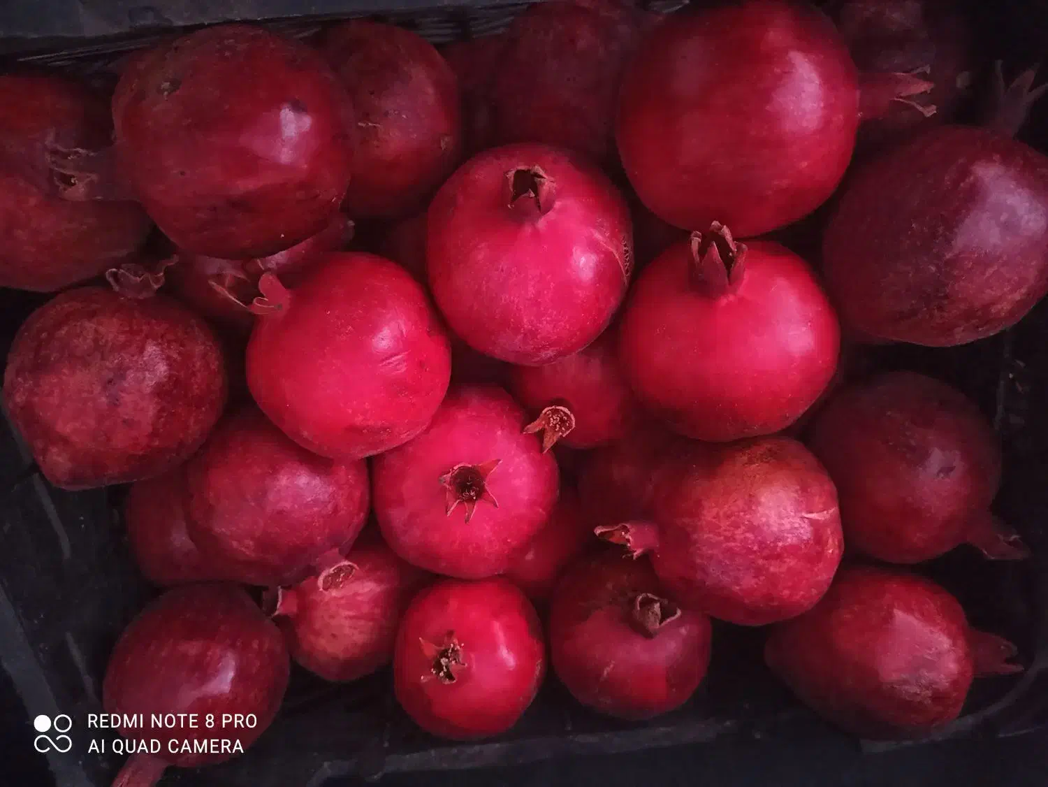 انار کوهپایه|خوردنی و آشامیدنی|کوهپایه, |دیوار