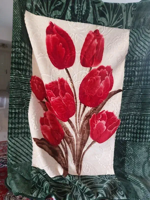 دوعدد پتو هفت تومان|رختخواب، بالش، پتو|بجنورد, |دیوار