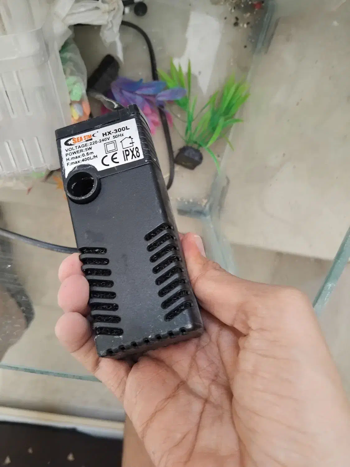 آکواریم مفت|ماهی|گلبهار, شهر جدید گلبهار|دیوار