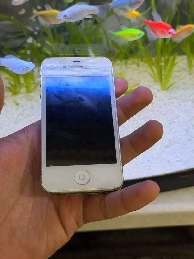 آیفون ۴ کلکسیونی|موبایل|مریوان, |دیوار