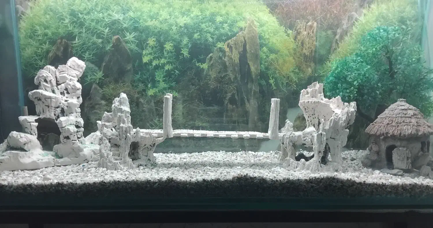 آکواریوم با میز و مرجان سنگ و کشتی بزرگ همه فقط|ماهی|آذرشهر, |دیوار