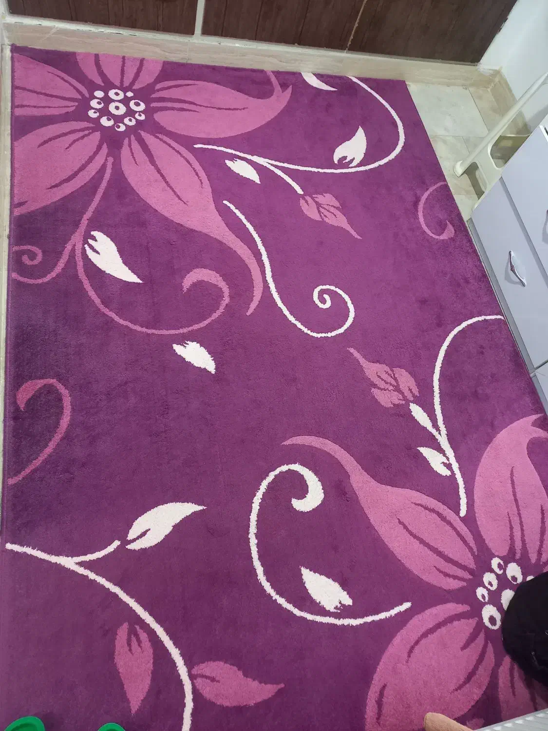 گلیم فرش ۶ متری|گلیم، جاجیم، گبه|گلپایگان, |دیوار