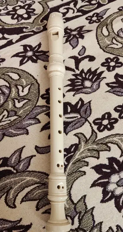 فلوت ریکوردر یاماها|سازهای بادی|الوند, |دیوار