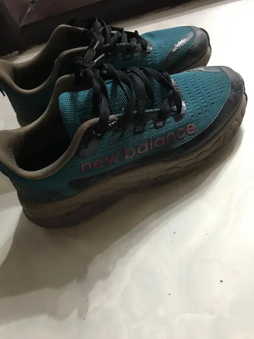 کتونی اسکیچرز|کیف، کفش، کمربند|ماسال, |دیوار