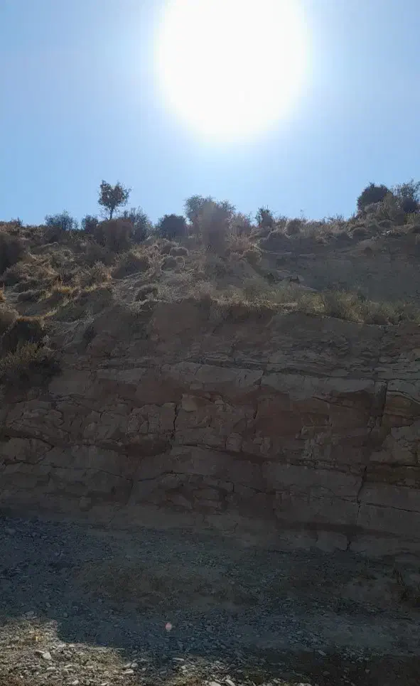 مفقودی کارت خودرو|اشیا|شیراز, کوشک میدان|دیوار