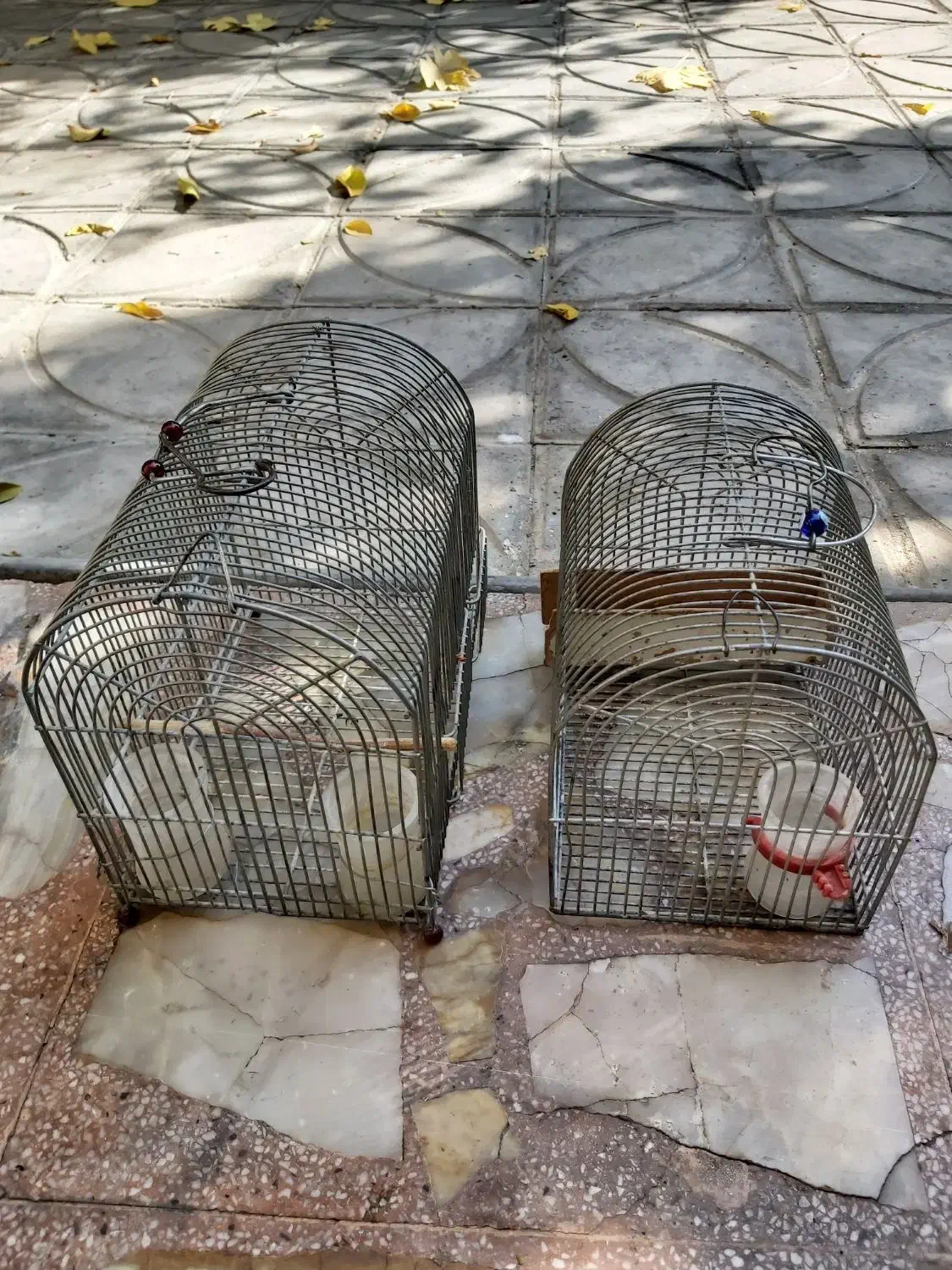 قفس|لوازم جانبی حیوانات|شیراز, پودنک|دیوار