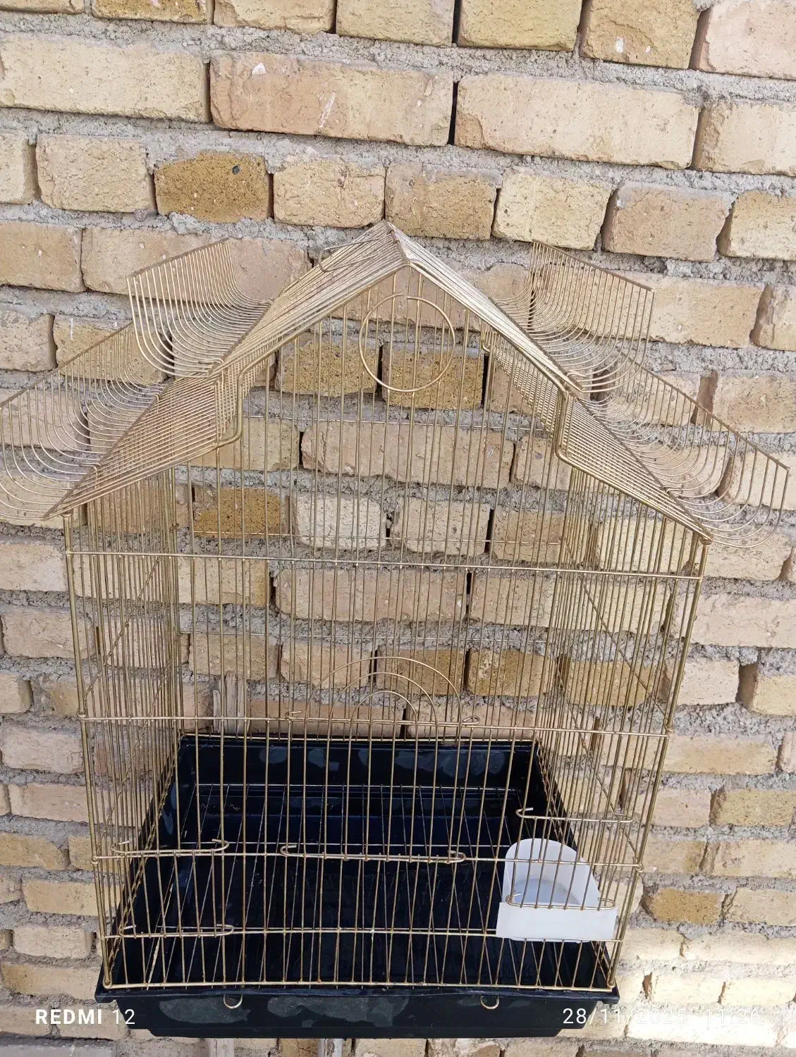 حیوانات|لوازم جانبی حیوانات|همدان, |دیوار