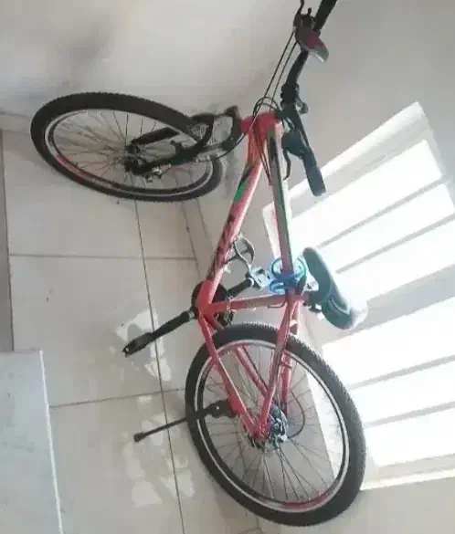 ویوا|دوچرخه، اسکیت، اسکوتر|تبریز, |دیوار