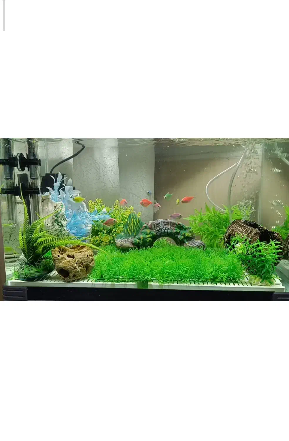 فروش آکواریوم درجه ۱ با تجهیزات کامل|ماهی|فسا, |دیوار