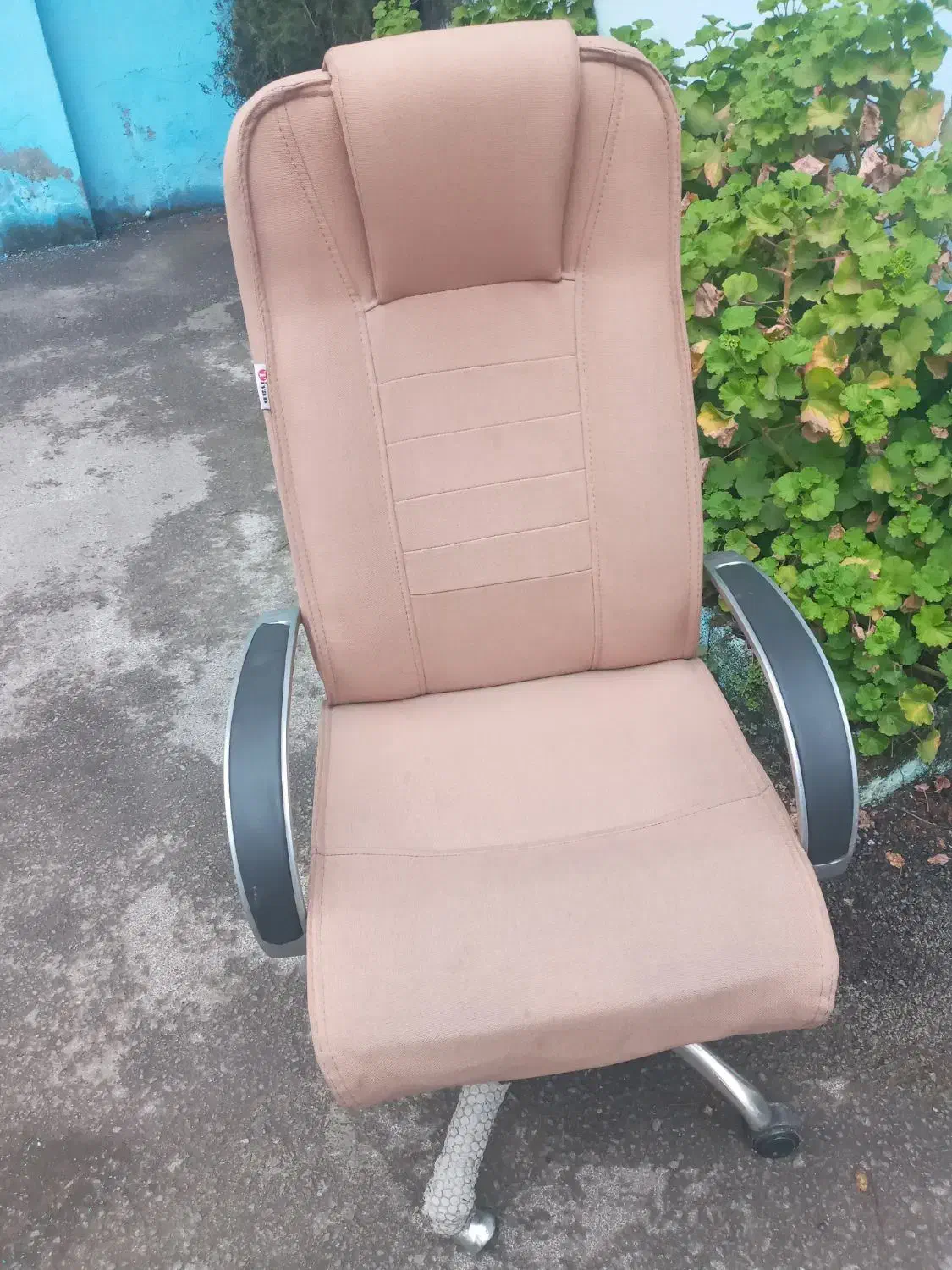 میز وصندلی|دفتر کار|رشت, لاکانی|دیوار