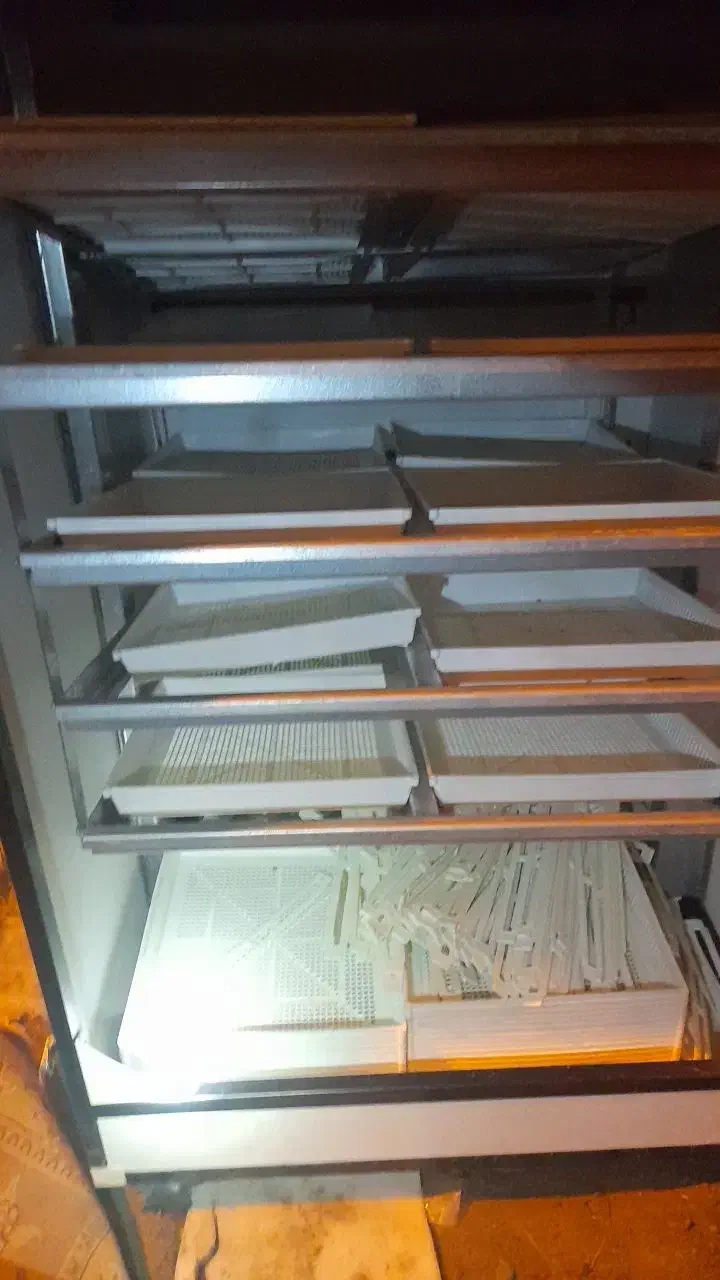 دستگاه جوجه کشی|لوازم جانبی حیوانات|هشترود, |دیوار