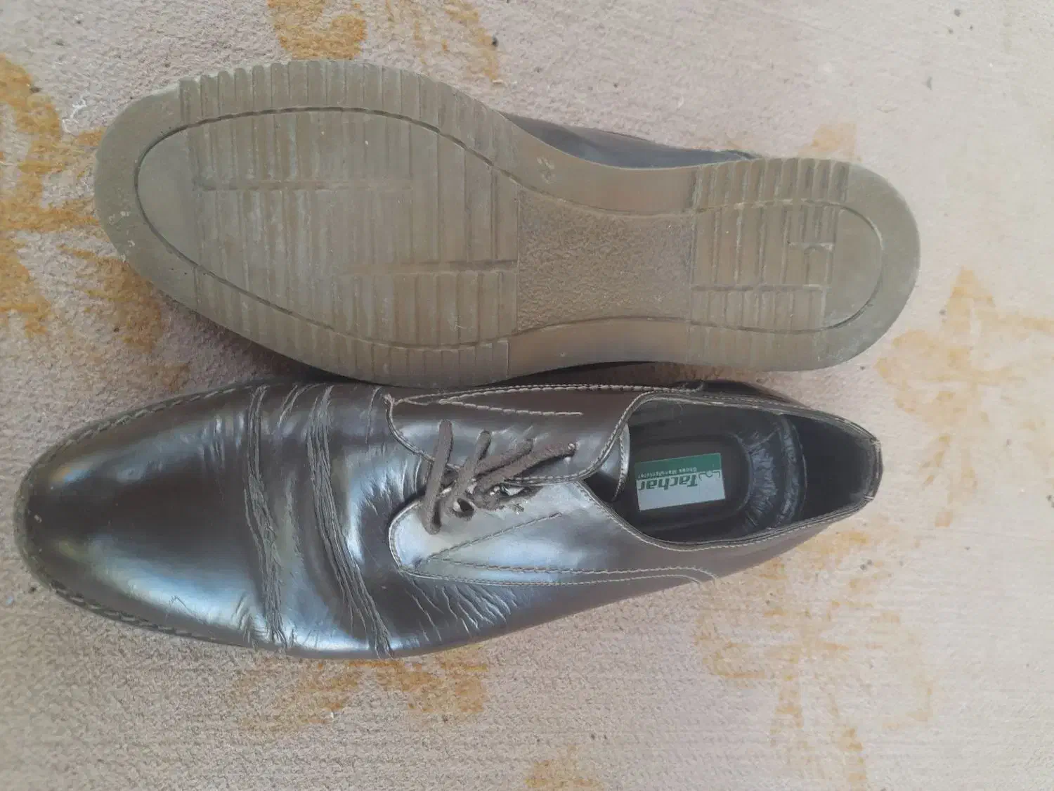 کفش مجلسی اورجینال|کیف، کفش، کمربند|مینودشت, |دیوار