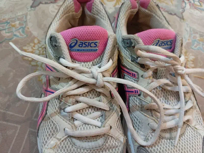 زیادنپوشیدمشون|کیف، کفش، کمربند|دوگنبدان, |دیوار