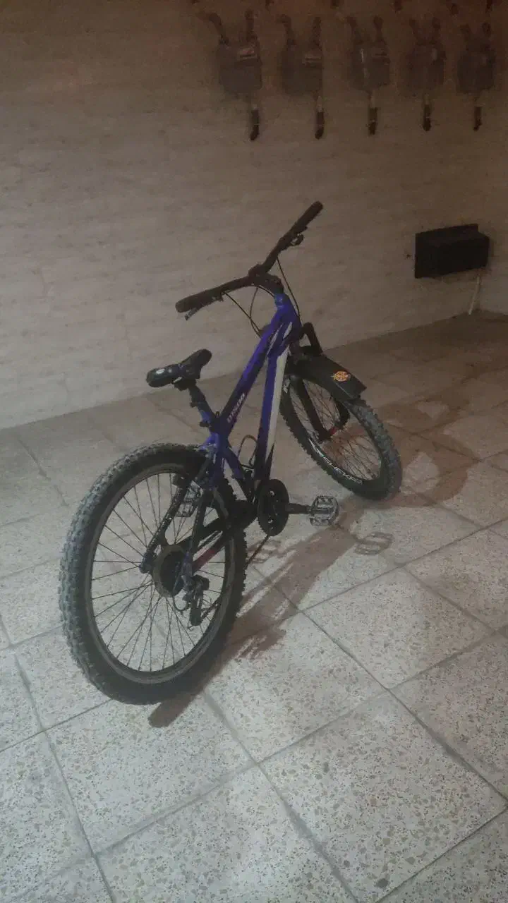 دوچرخه المپیک سایز 26|دوچرخه، اسکیت، اسکوتر|اندیشه, اندیشه فاز ۱|دیوار