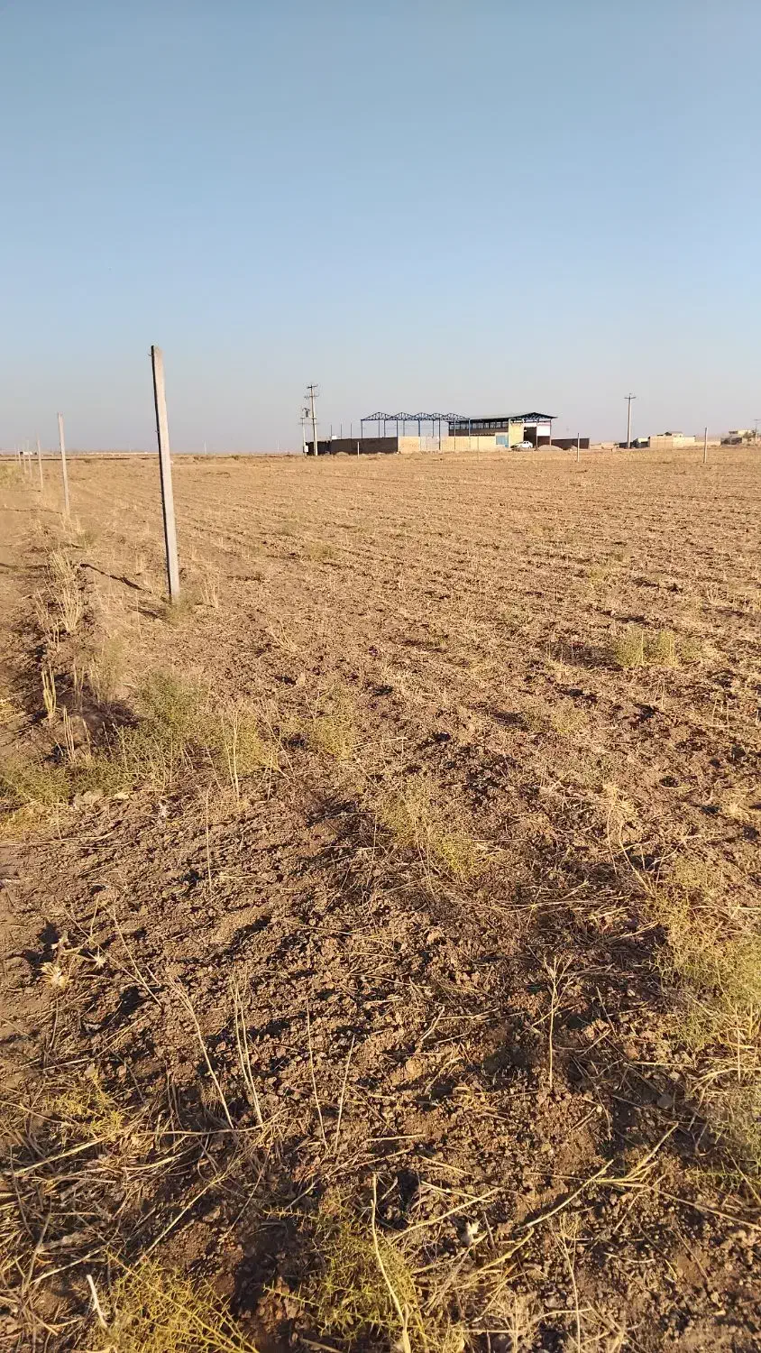 زمین فروشی|فروش زمین و ملک کلنگی|ساروق, |دیوار