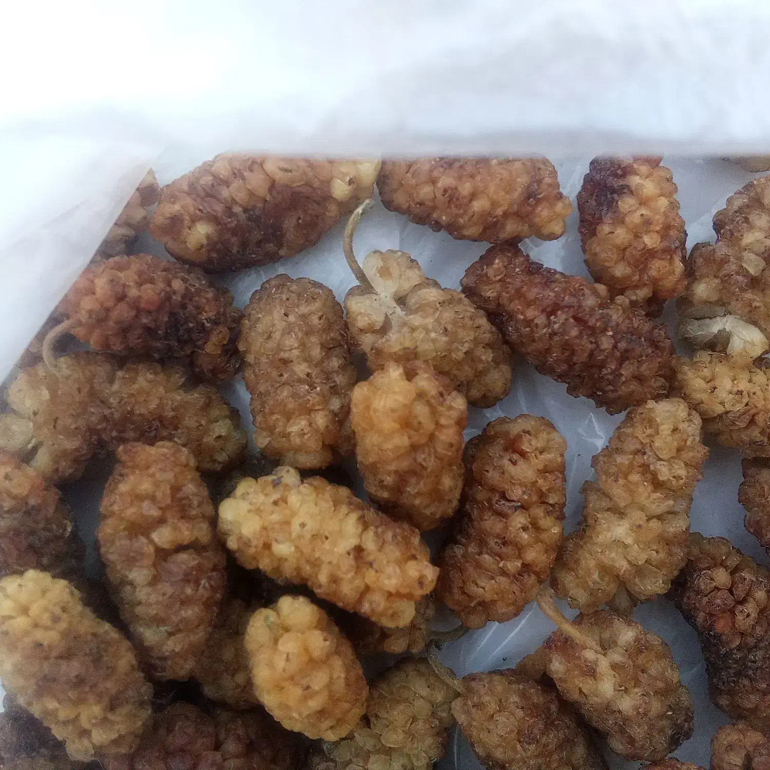 توتخشکوشیرهتوتسفید|خوردنی و آشامیدنی|محمدیه-قزوین, |دیوار