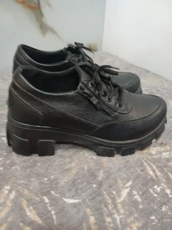 کفش اداری|کیف، کفش، کمربند|مهریز, |دیوار