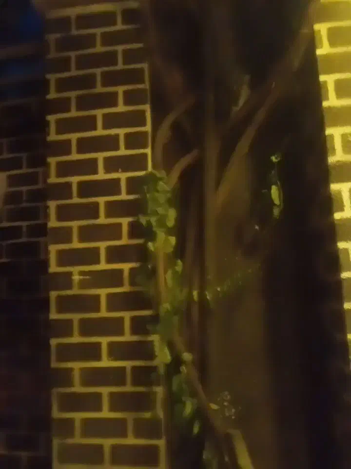 فروش تجهیزات یک کافه فست فود|کافیشاپ و رستوران|شاهرود, |دیوار