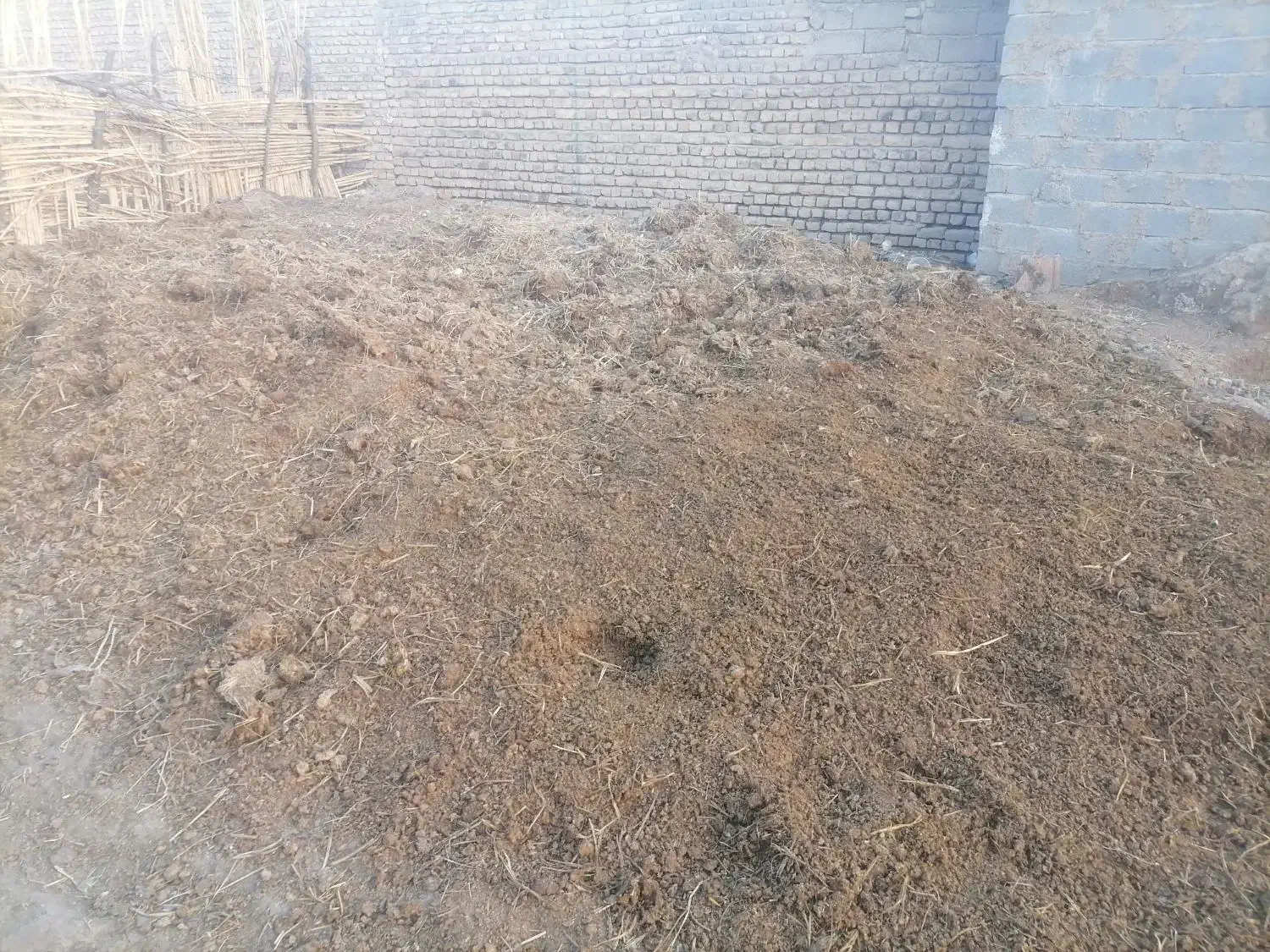 پهن گاو|خدمات باغبانی و درختکاری|گالیکش, |دیوار