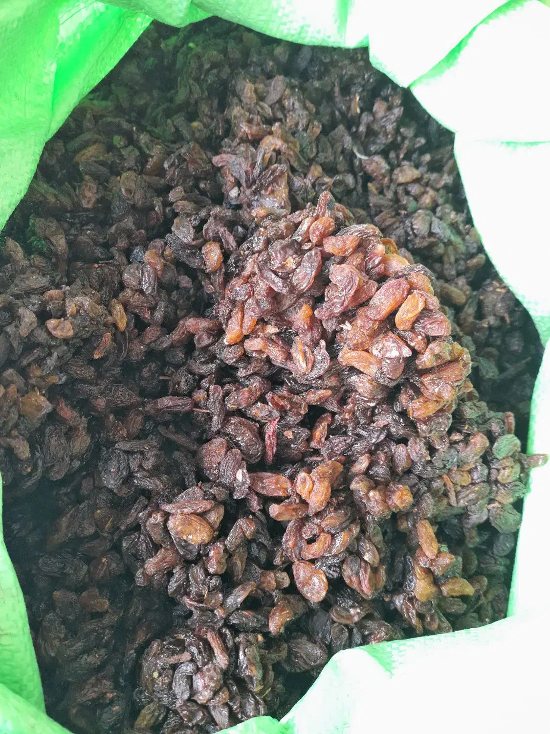 کشمش آفتابی|خوردنی و آشامیدنی|بجنورد, |دیوار