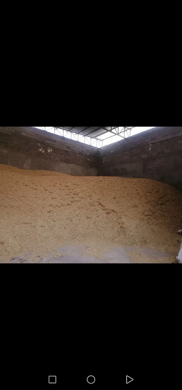 کاه گندم|لوازم جانبی حیوانات|جره و بالاده, |دیوار