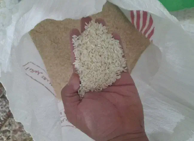 برنج سالم و نیم دانه|خوردنی و آشامیدنی|دورود, |دیوار