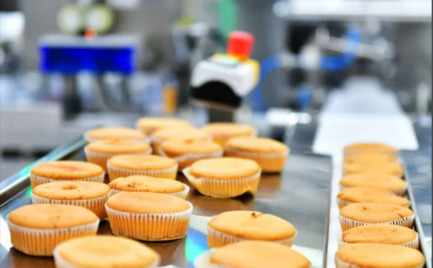 نیرو کار خانم|استخدام خدمات فروشگاه و رستوران|قروه, |دیوار