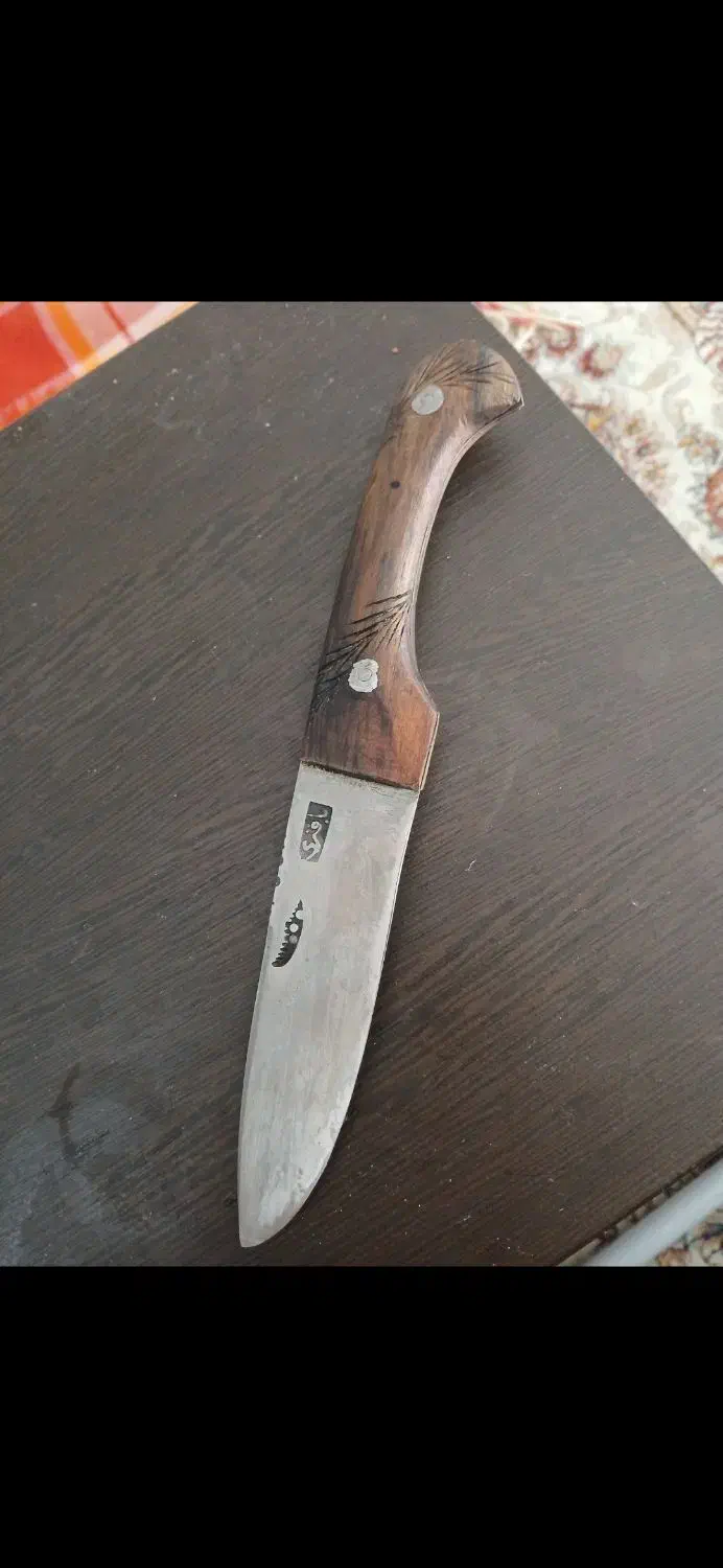 چاقو قصابی|کوهنوردی و کمپینگ|قم, انسجام|دیوار