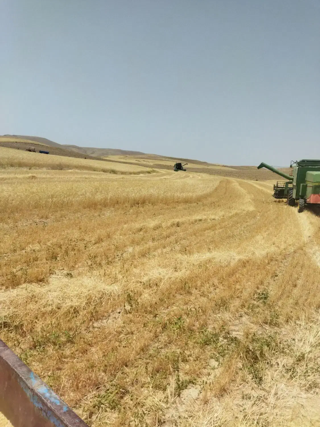 فروش زمین کشاورزی دیمی واقع در روستای پشت دربند|فروش زمین و ملک کلنگی|بیجار, |دیوار