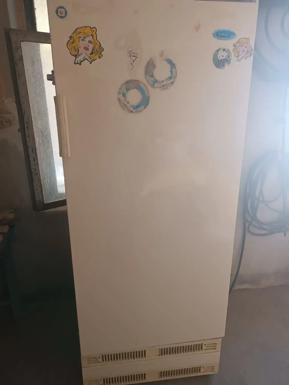 یخچال|یخچال و فریزر|لردگان, |دیوار