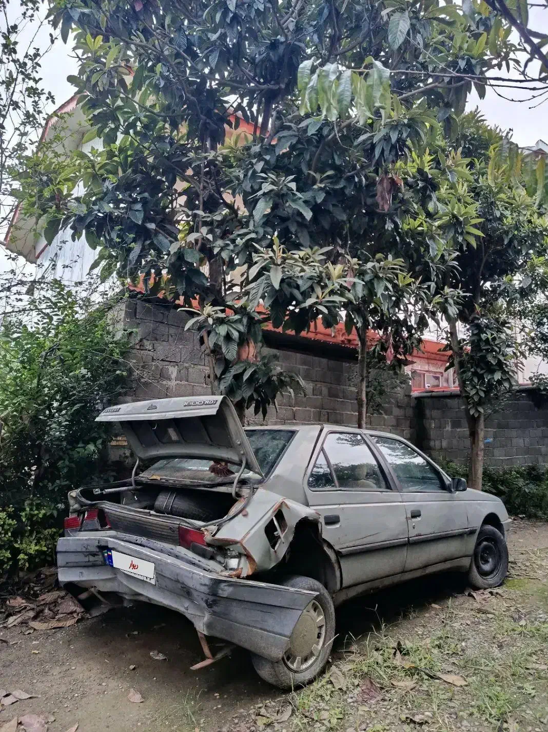 آردی مدل 84 انژکتور|خودرو سواری و وانت|کلاچای, |دیوار