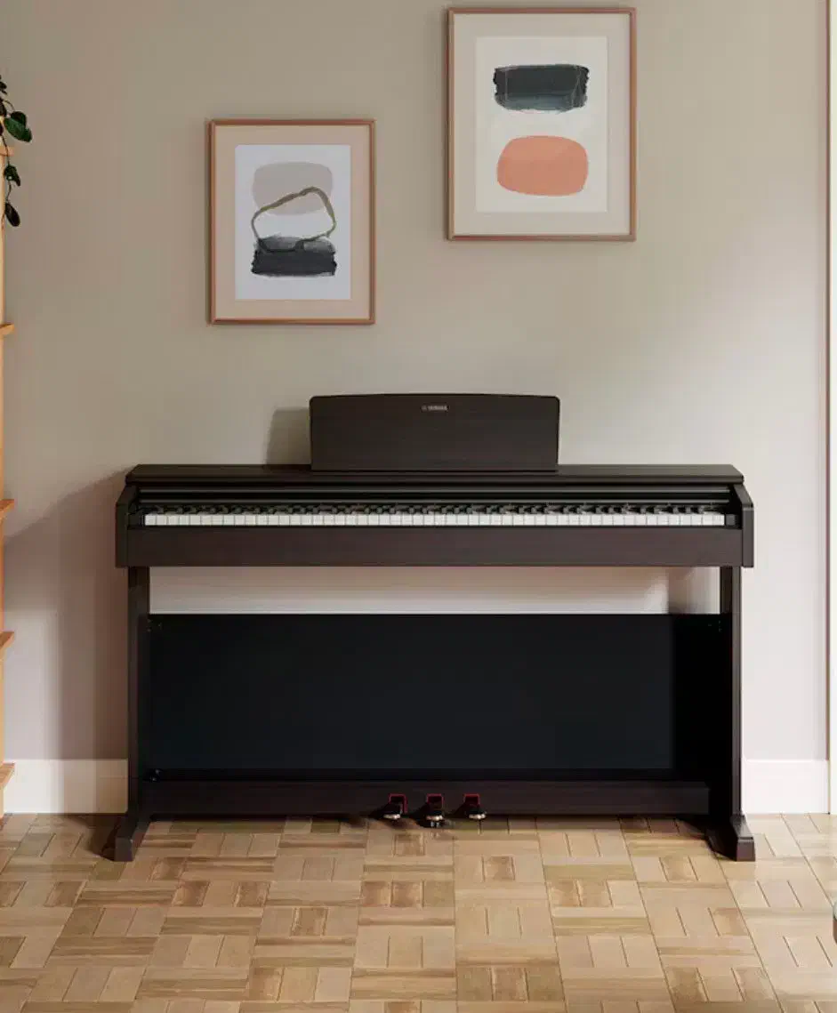 YDP165 یاماها|پیانو، کیبورد، آکاردئون|شیراز, ابیوردی|دیوار