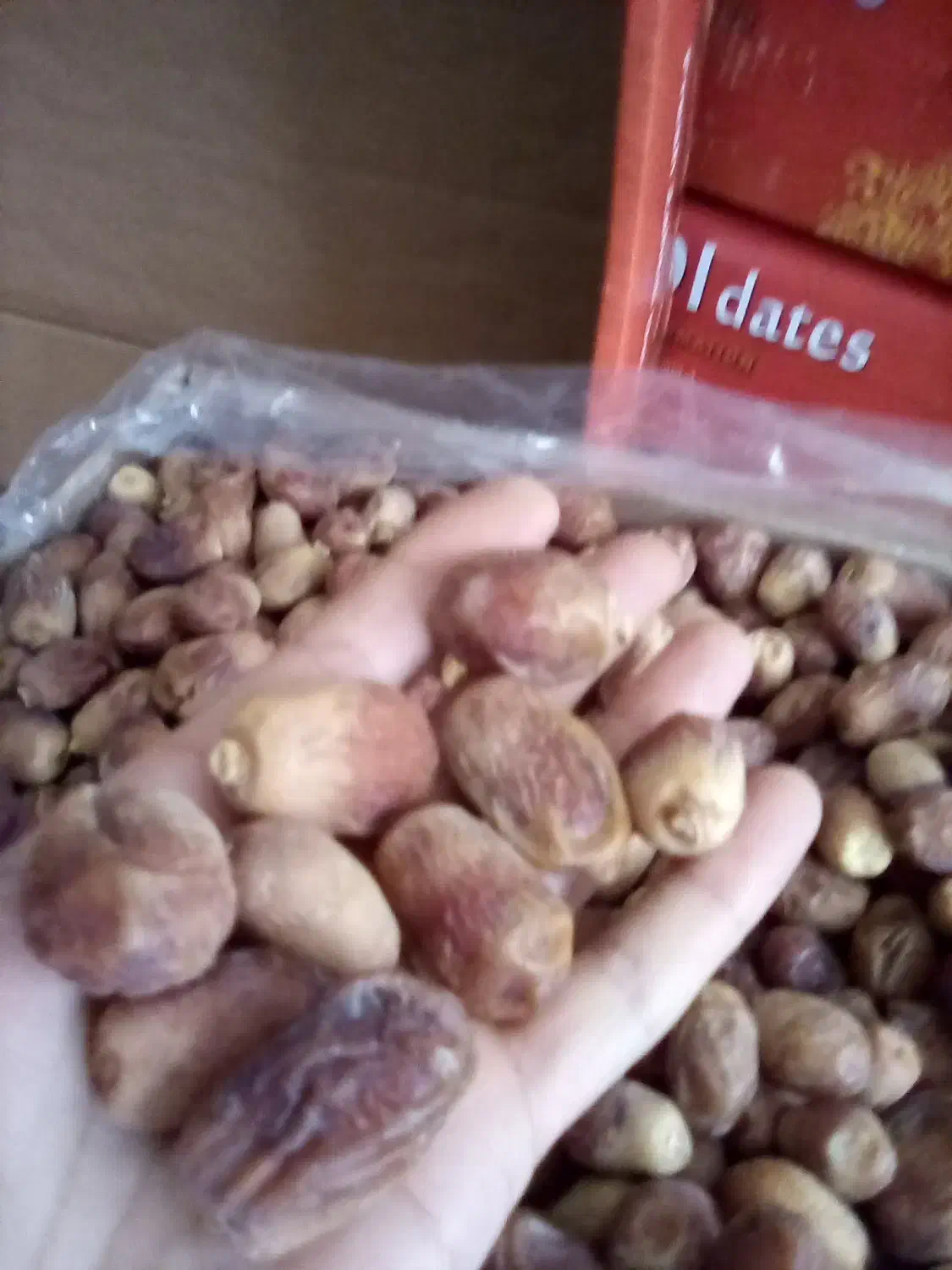 فروش خرمای زاهدی با کیفیت کیلویی ۱۷۰۰۰۰ در رشت|خوردنی و آشامیدنی|رشت, انصاری|دیوار