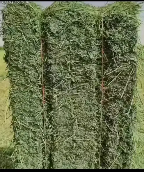 پرس یونجه چن چهارم|حیوانات مزرعه|بروجرد, |دیوار