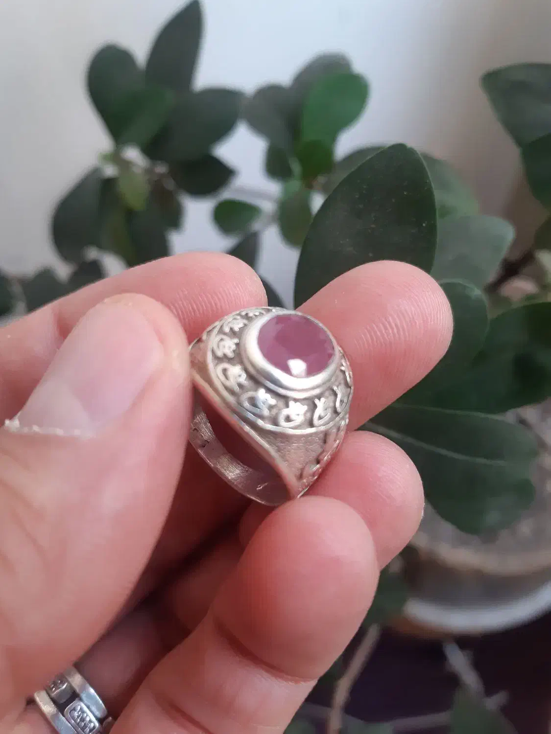 انگشتر نقره یاقوت برمه|جواهرات|کرج, گلشهر|دیوار