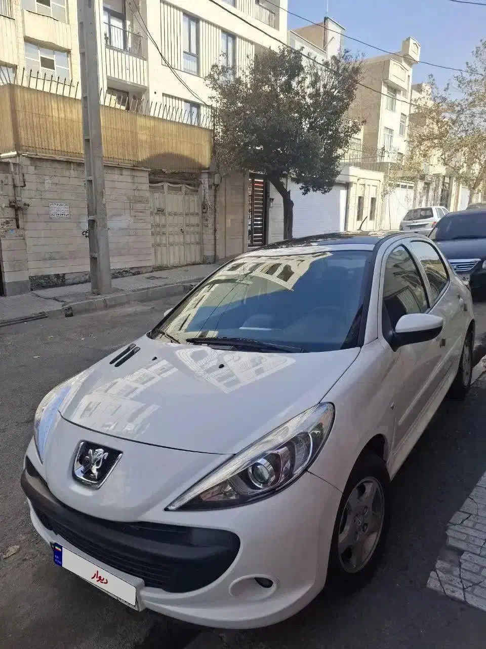 ۲۰۷ پانورما ۲۵۰۰۰ کارکرد|خودرو سواری و وانت|تهران, مسعودیه|دیوار