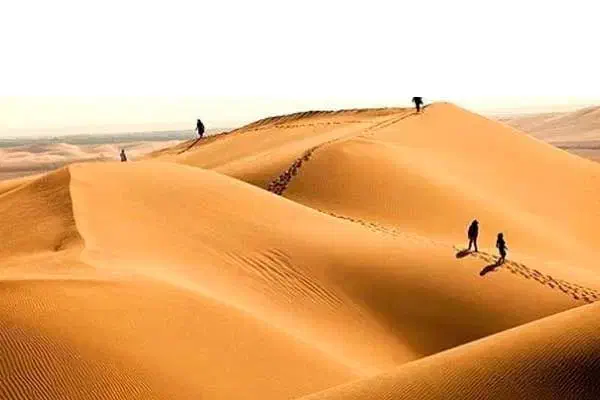 تور مصر اصفهان|تور و چارتر|تهران, ده‌ونک|دیوار