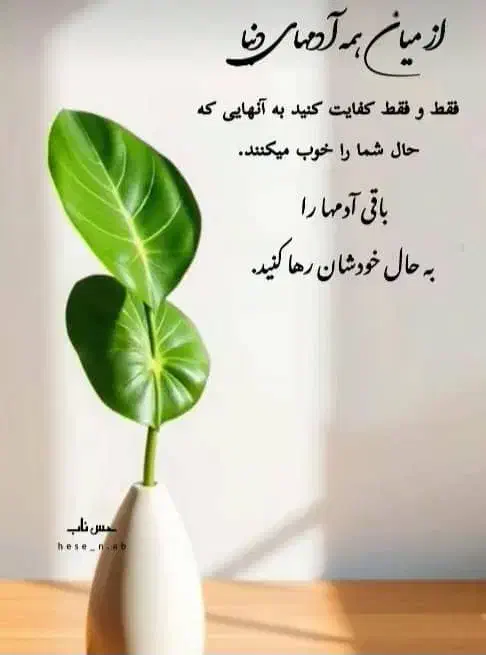 نیازمندی ها|فعالیت داوطلبانه|فیروزآباد (فارس), |دیوار