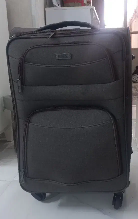 چمدان|کیف، کفش، کمربند|چناران, |دیوار