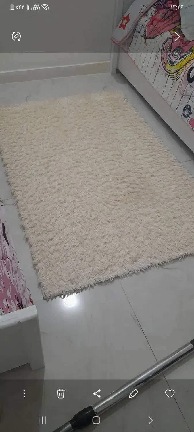 فرش شگی با پادری ست|فرش|شوشتر, |دیوار