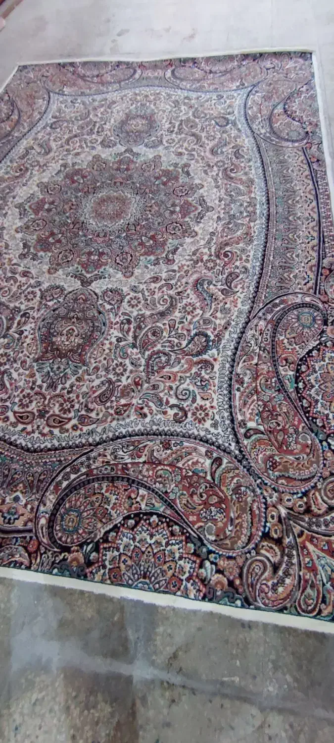 فرش ۶ متری|فرش|سقز, |دیوار